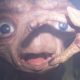 E.T. II: Nocturnal Fears