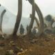 King Kong regresa: primera imagen de ‘Kong: Skull Island’