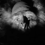 El Abominable Hombre de las Nieves
