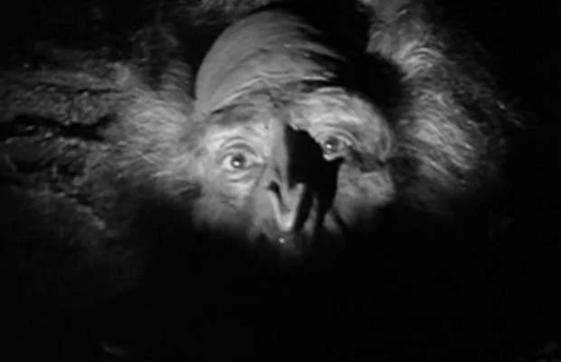 El Abominable Hombre de las Nieves